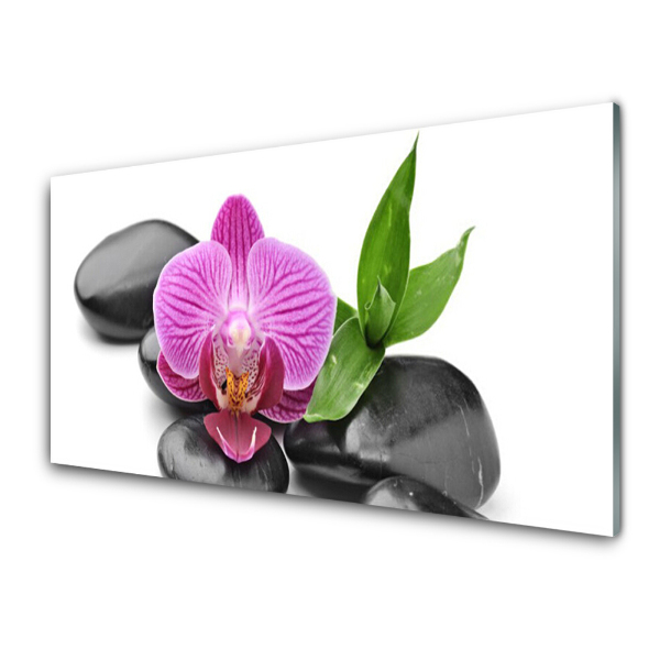 Skleneny obraz Orchidea listy kamene