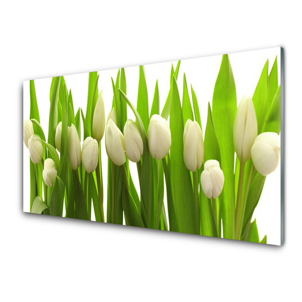 Sklenený obraz Kytica bielych tulipánov