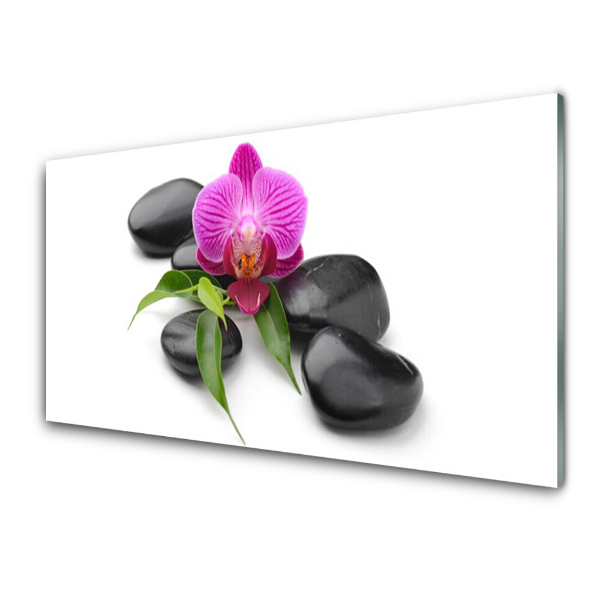 Skleneny obraz Kvet orchidey
