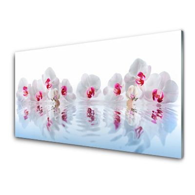 Obraz na skle Biele kvety orchideí a voda