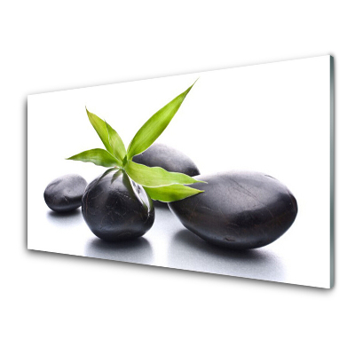 Skleneny obraz Kamene Listy Biele pozadie