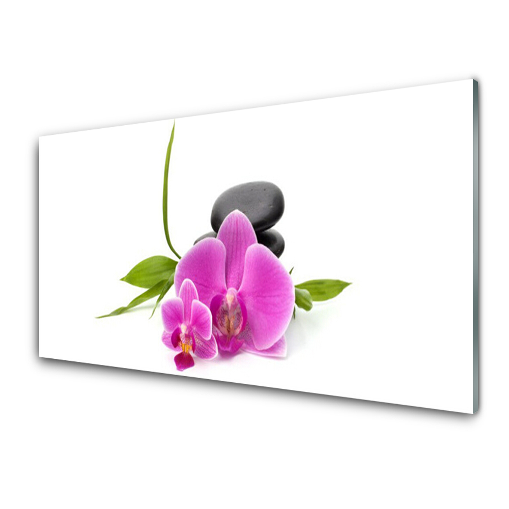 Obraz na skle Orchidea