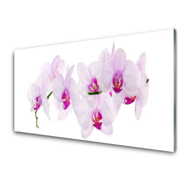 Obraz na skle Žiarivo ružová orchidea