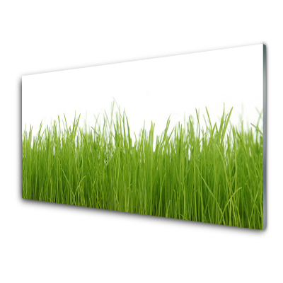 Skleneny obraz Mladá tráva Prírodná rastlina