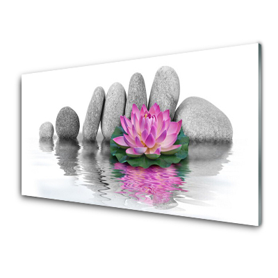 Sklenený obraz Ružová ľalia na pozadí kameňov