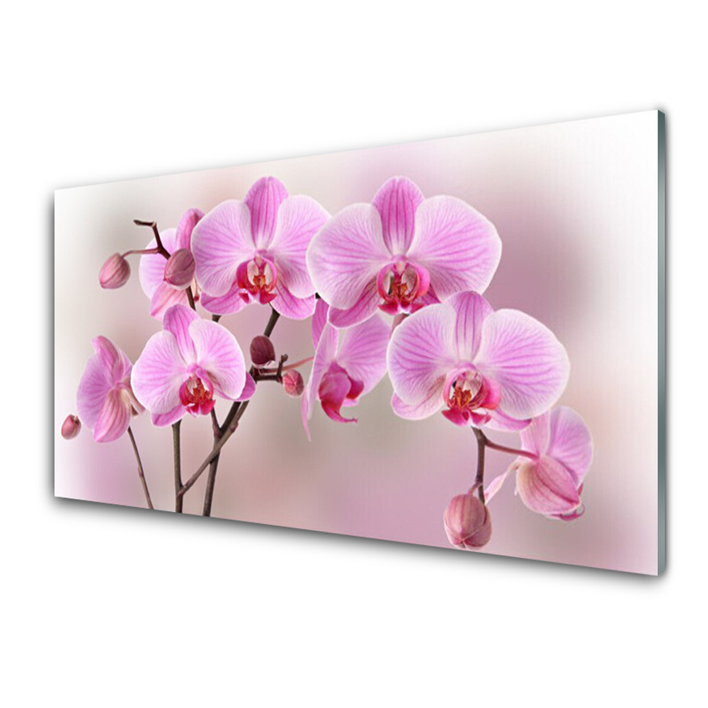 Skleneny obraz Ružová orchidea