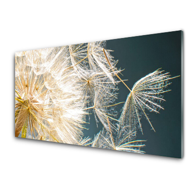 Sklenený obraz Púpava