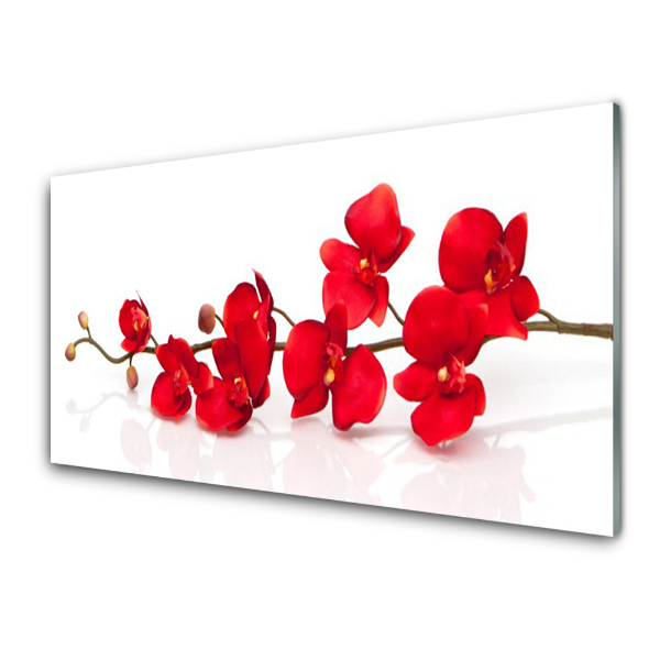 Skleneny obraz Červené kvety orchideí