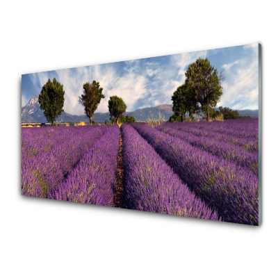 Obraz na skle Pole levandule a stromov