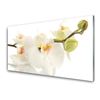 Obraz na skle Orchidey na stonke