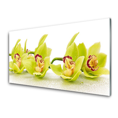 Obraz na skle Exotické žlté kvety