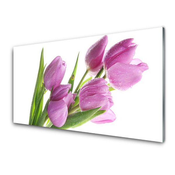 Obraz na skle Svetloružové tulipány