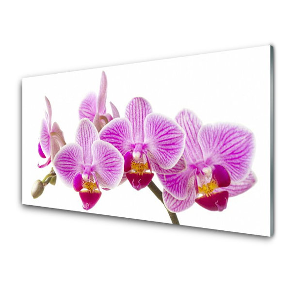 Sklenený obraz Ružové orchidey