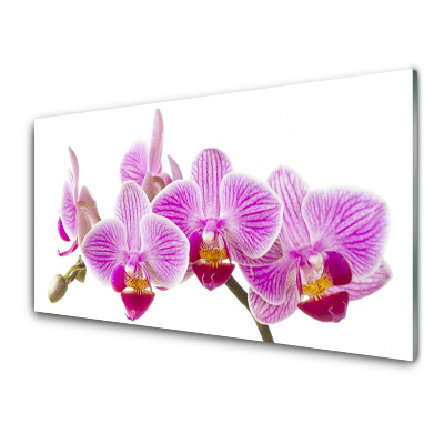 Sklenený obraz Ružové orchidey