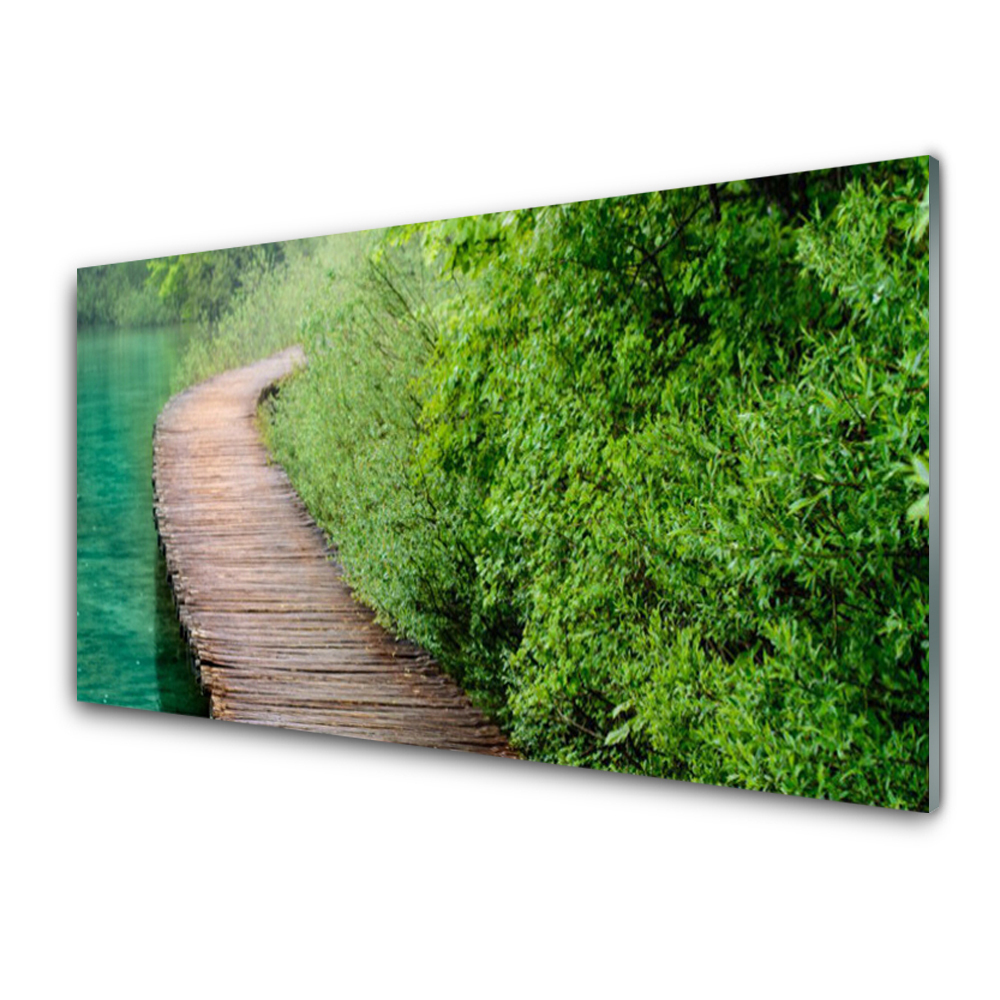Sklenený obraz Most pri zelených kríkoch