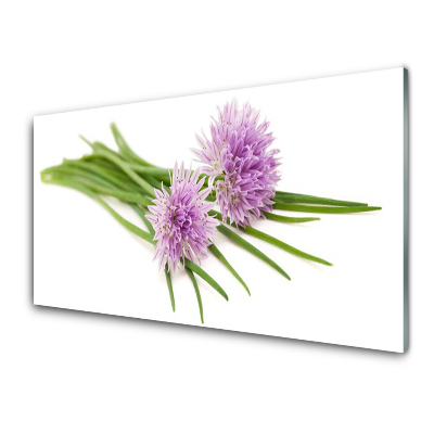 Obraz na skle Medvedí cesnak