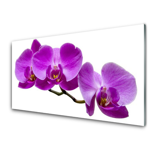 Obraz na skle Tri fialové orchidey