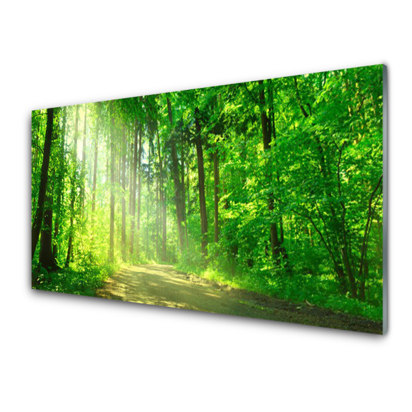Obraz na skle Lesná cesta