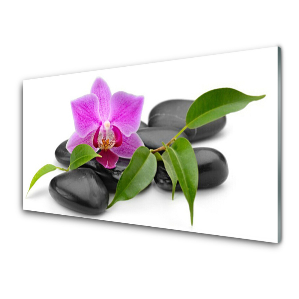 Skleneny obraz Kvetinové orchideové umenie