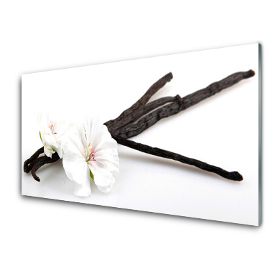 Obraz na skle Vanilkové korenie