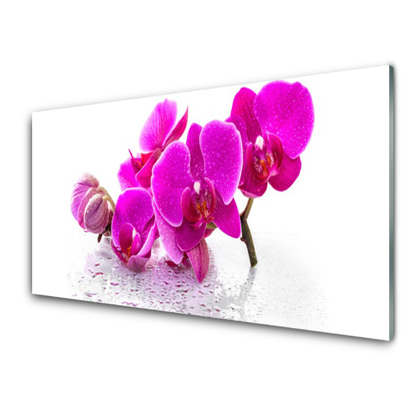 Skleneny obraz Orchidea vo farbe fuksie