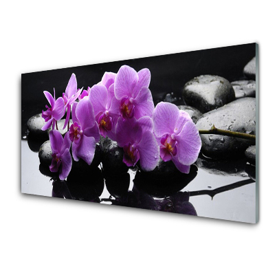 Skleneny obraz Orchidea na pozadí kameňov