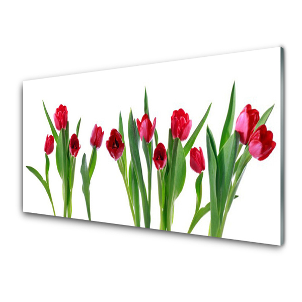 Skleneny obraz Kytice červených tulipánov