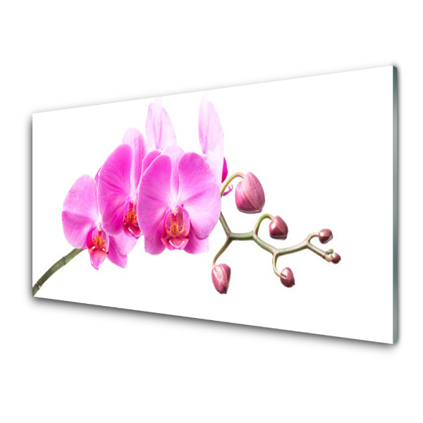 Obraz na skle Ružové kvety orchideí