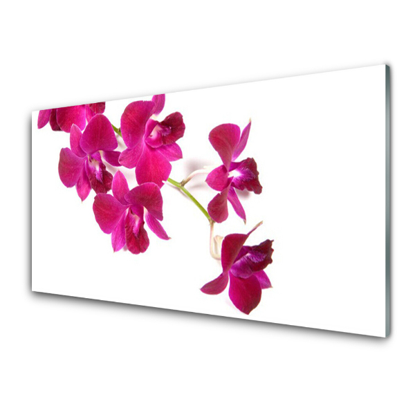 Sklenený obraz Fuksiové orchidey biele pozadie