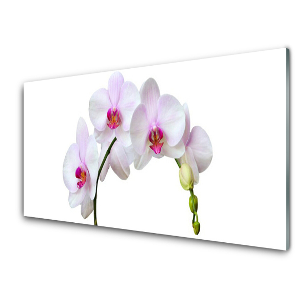 Obraz na skle Biele kvety orchideí