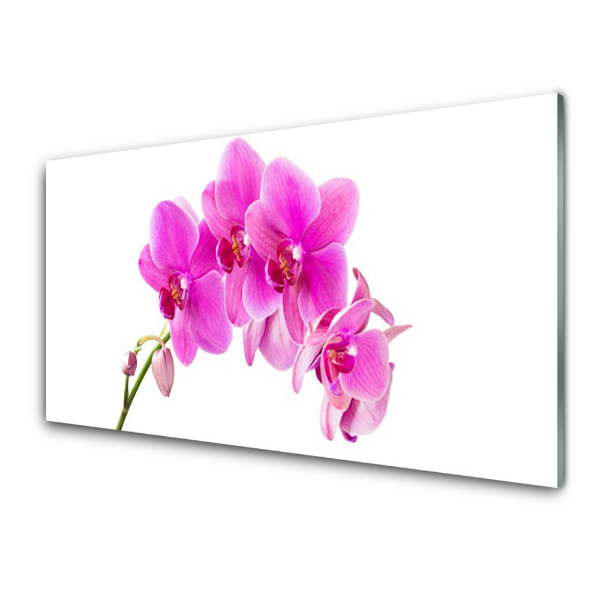 Obraz na skle Kvet orchidey