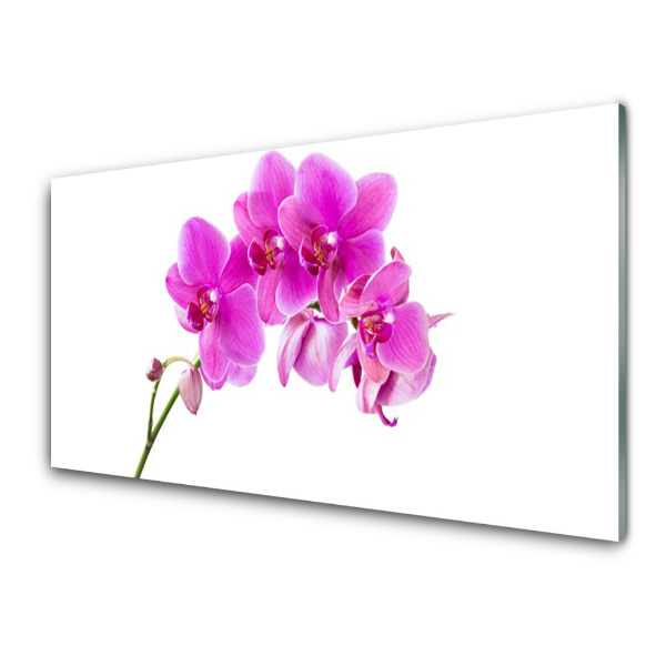 Sklenený obraz Kvet orchidey