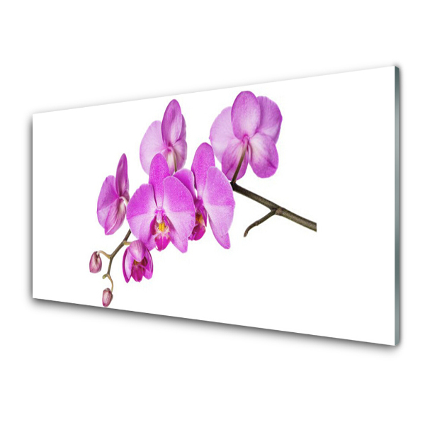 Sklenený obraz Ružová orchidea Orchidea