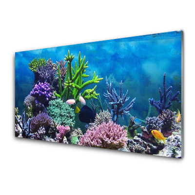 Sklenený obraz Akváriové ryby sasanky a koraly