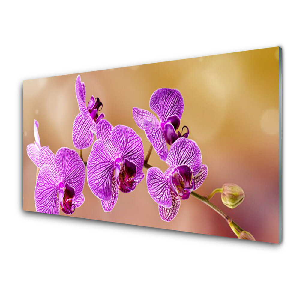 Sklenený obraz Orchidea ružová Stonky kvetov Príroda