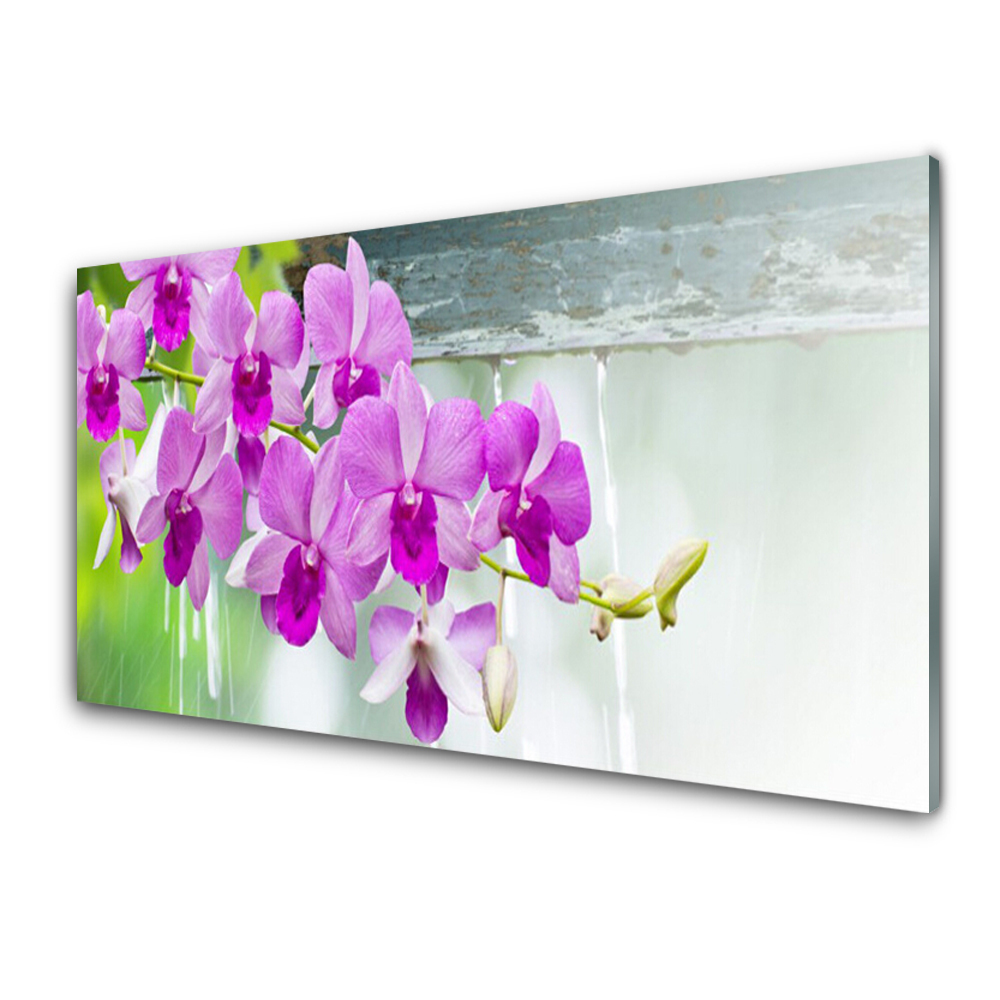 Skleneny obraz Kvety orchideí Príroda kvapky