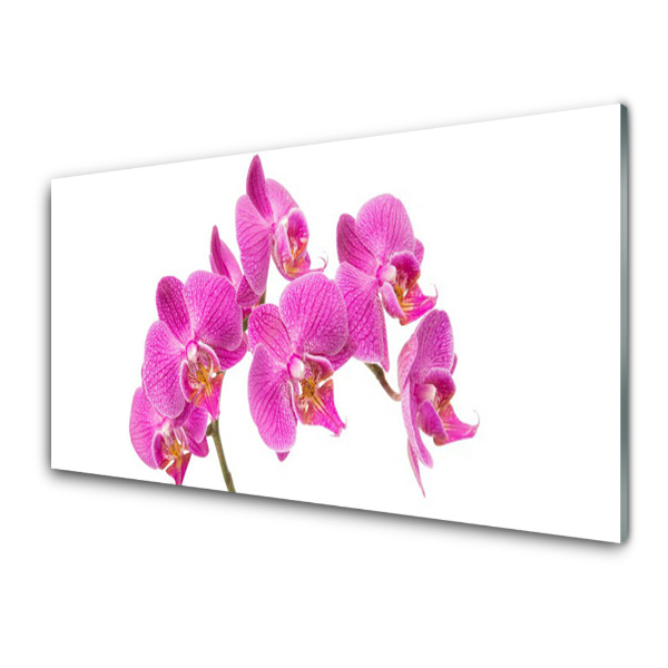 Obraz na skle Ružová orchidea Príroda