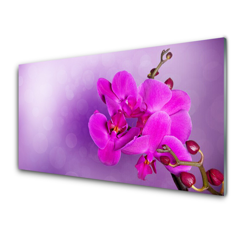 Skleneny obraz Kvety ružové okvetné lístky Orchidea