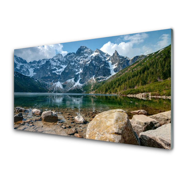 Skleneny obraz Hory les jazero Tatry