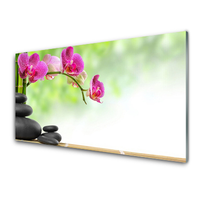 Obraz na skle Bambusové výhonky Kamene