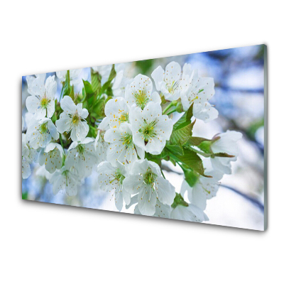 Sklenený obraz Jablkové kvety Príroda