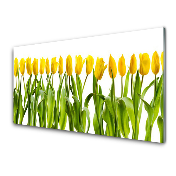 Obraz na skle Rad žltých tulipánov