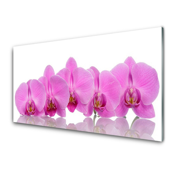 Obraz na skle Ružové orchidey v rade