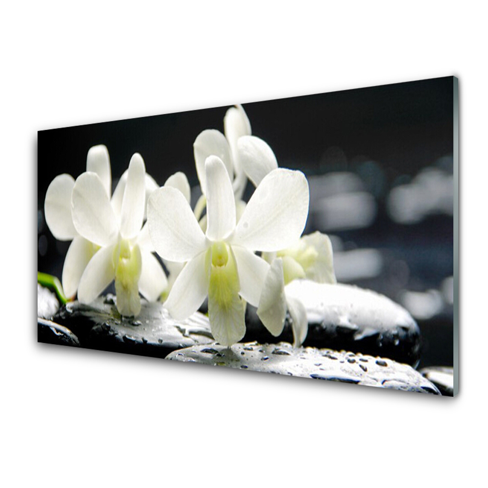 Skleneny obraz Kamene Kvety Biela orchidea