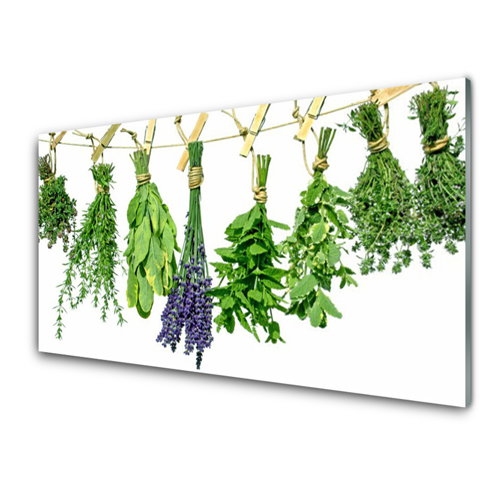 Obraz na skle Závesné zväzky bylín