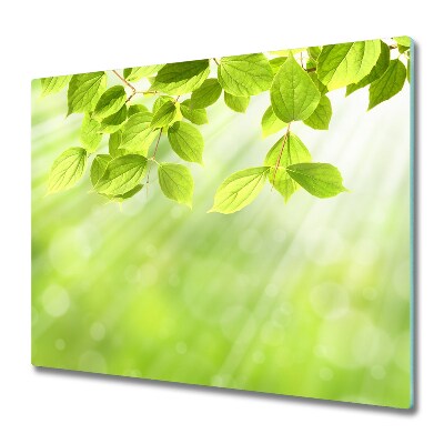 Doska na krájanie Zelené listy v slnečnom svetle,