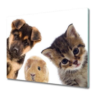 Sklenená doska na krájanie Škrečok a mačka