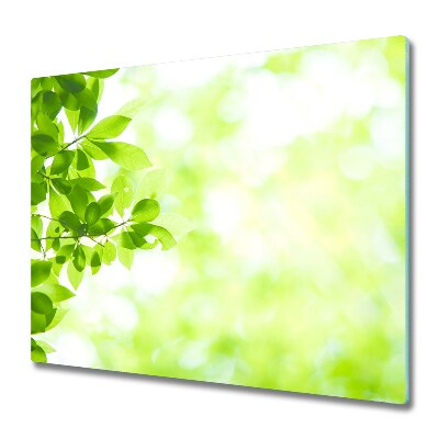 Sklenená doska na krájanie Listy a zelené pozadie