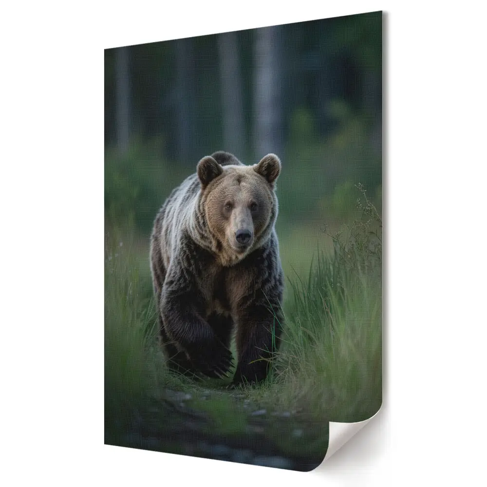 Plagát Grizzly v prirodzenom prostredí