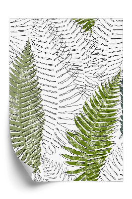 Tapeta Listy papradia